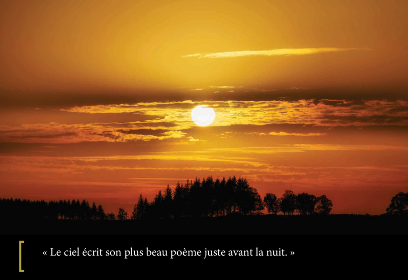727. La promesse du soir