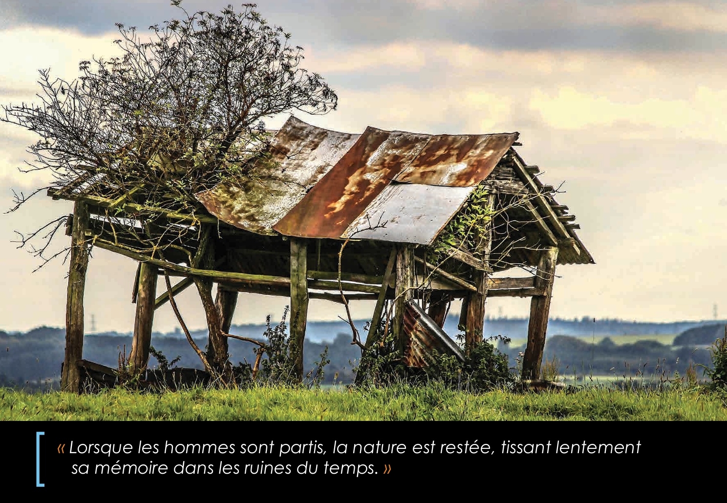 731. Les racines du silence