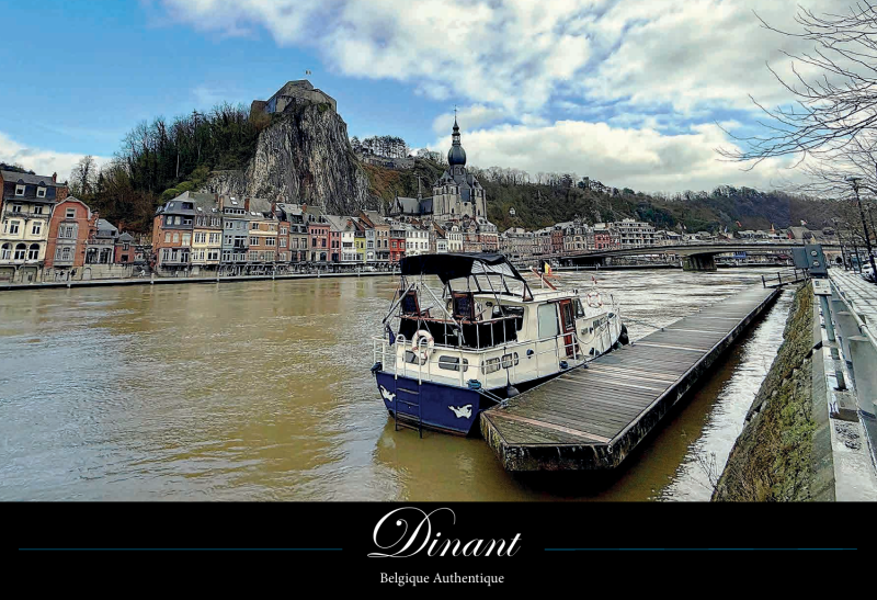 732. Dinant-sur-Meuse