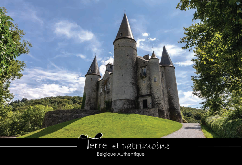 733. Château de Vêves